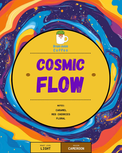 Cosmic Flow